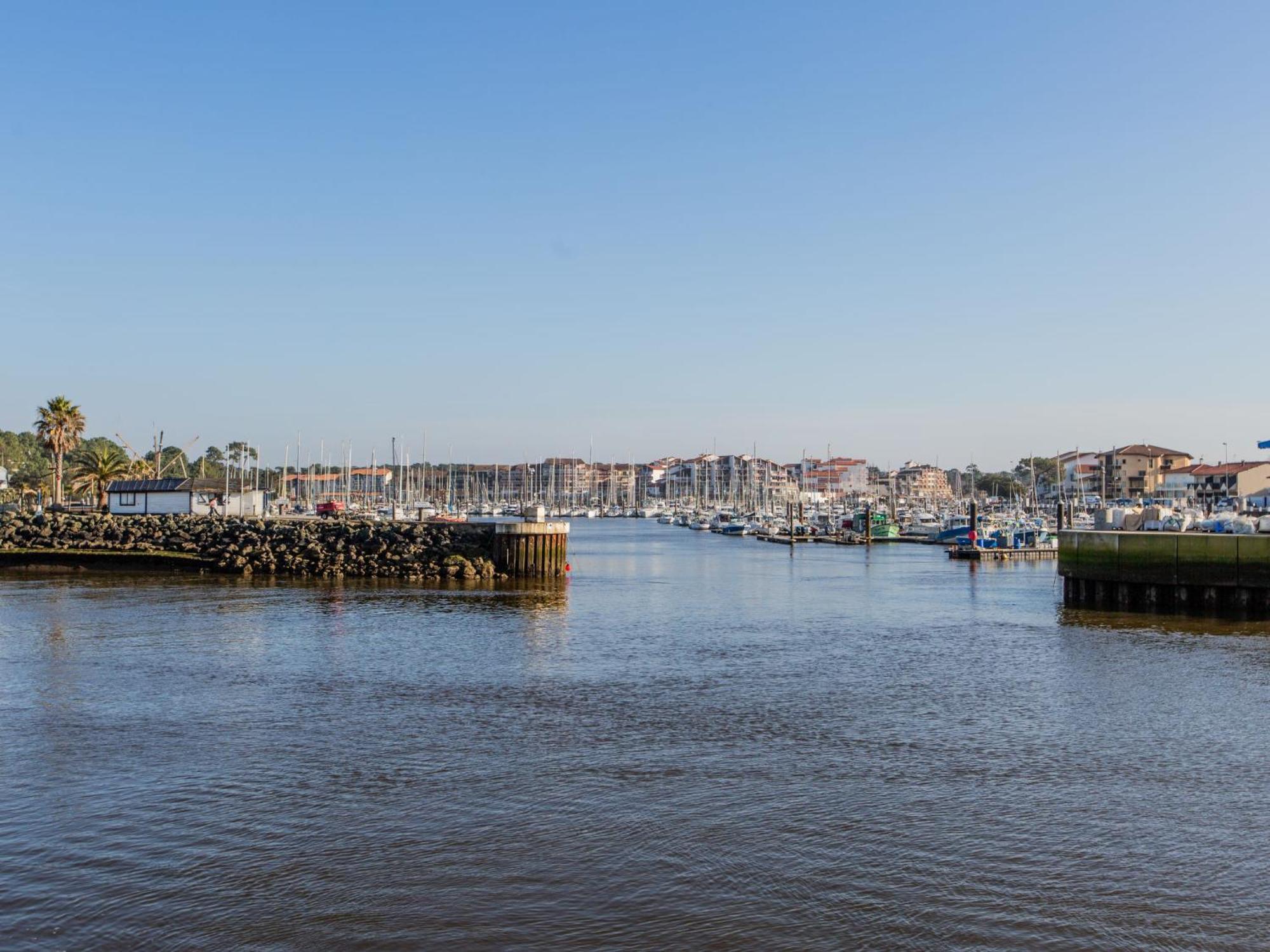 Apartment Les Terrasses Notre Dame Du Port-8 By Interhome *